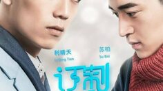 Customized Companion – Eng Sub
