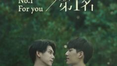 We Best Love: No. 1 For You – Eng Sub
