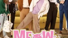 Meow Ears Up – Eng Sub