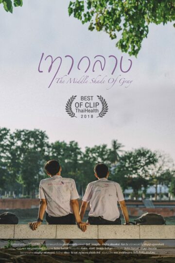 The Middle Shade of Grey