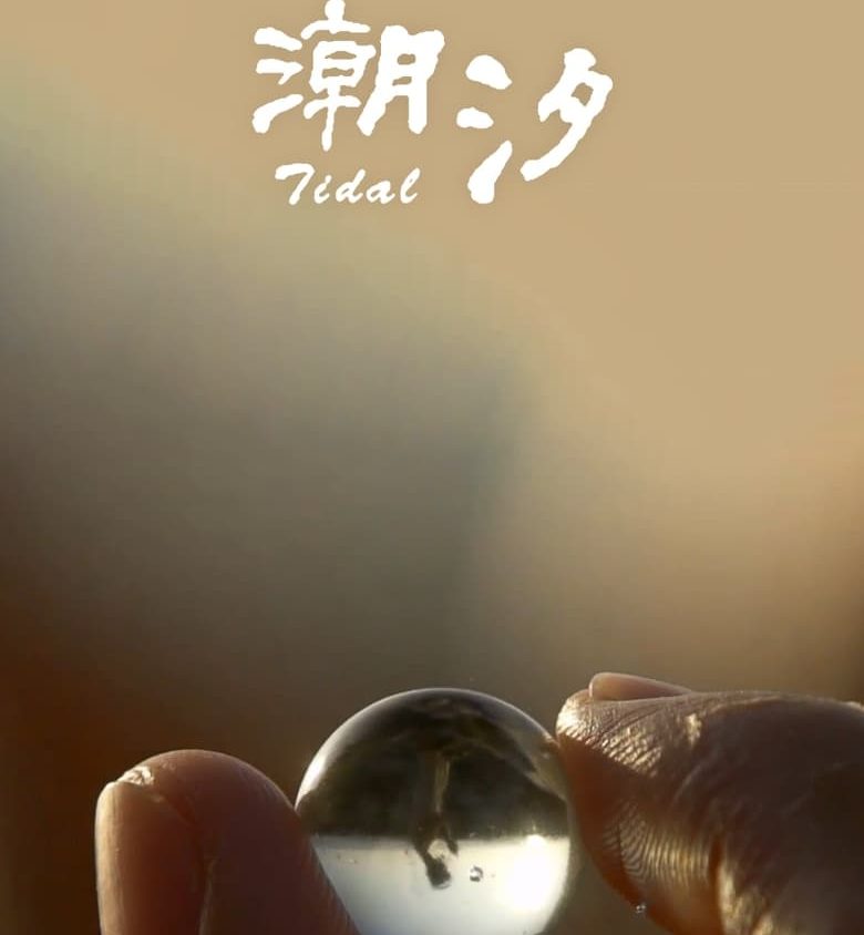 Video Image