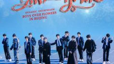 Meteor Garden