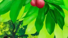 Secrets Happened on the Litchi Island – Eng Sub