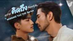Missing you The series