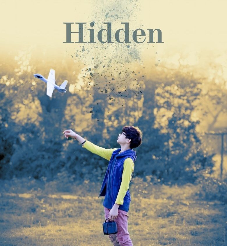 Video Image