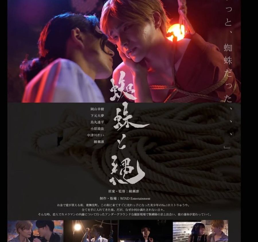 Video Image
