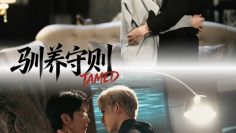 Tamed – Eng Sub