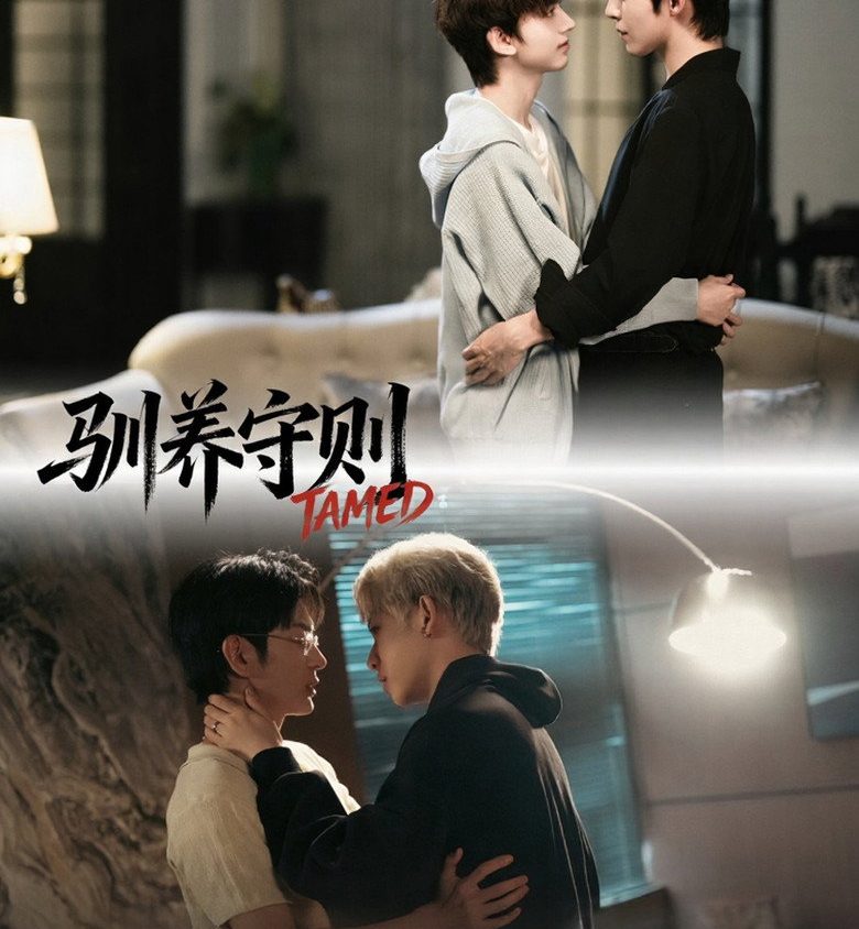 Video Image