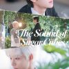 The Sound of Sugar Cubes – Eng Sub