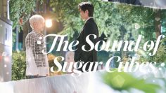 The Sound of Sugar Cubes – Eng Sub