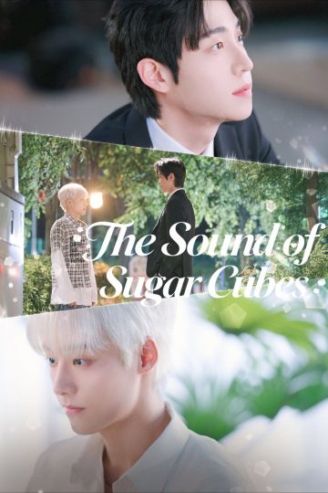 The Sound of Sugar Cubes – Eng Sub